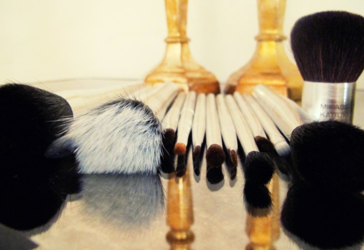 Makeup: The Brushes